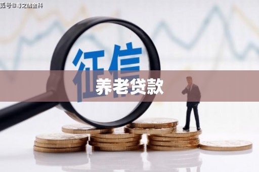 望奎养老贷款
