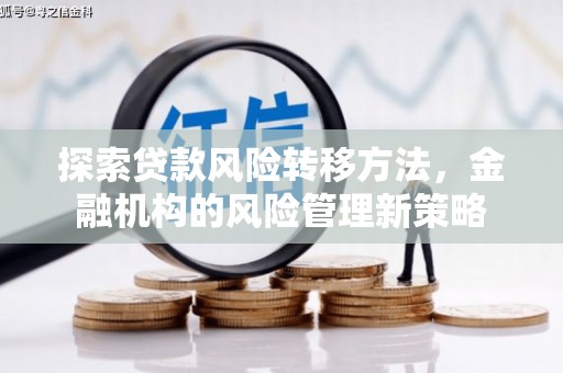 望奎探索贷款风险转移方法，金融机构的风险管理新策略