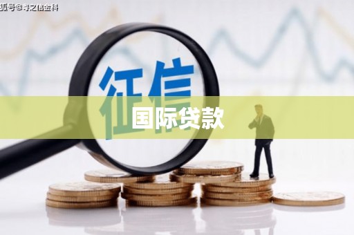 望奎国际贷款