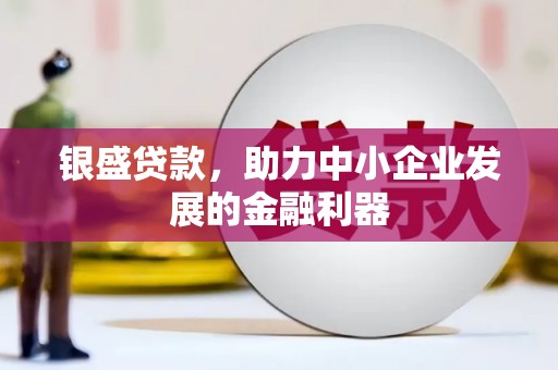 望奎银盛贷款，助力中小企业发展的金融利器
