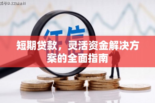 望奎短期贷款，灵活资金解决方案的全面指南