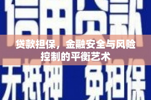 望奎贷款担保，金融安全与风险控制的平衡艺术