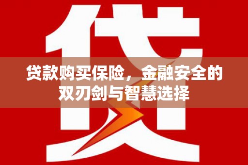 望奎贷款购买保险，金融安全的双刃剑与智慧选择