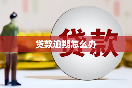 望奎贷款逾期怎么办