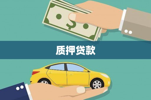 望奎质押贷款