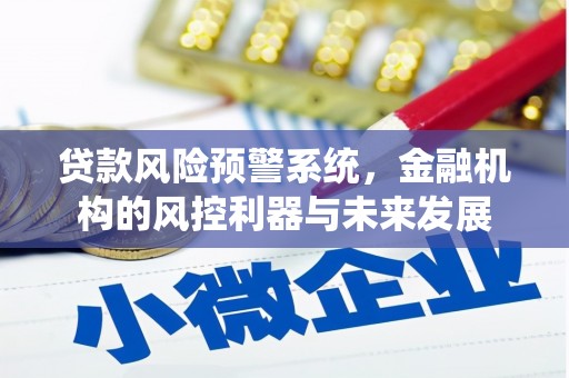 望奎贷款风险预警系统，金融机构的风控利器与未来发展
