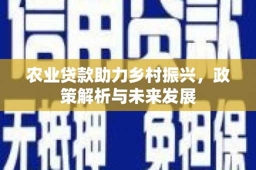 望奎农业贷款助力乡村振兴，政策解析与未来发展