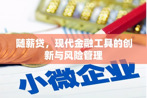 望奎随薪贷，现代金融工具的创新与风险管理