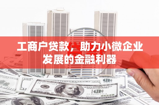 望奎工商户贷款，助力小微企业发展的金融利器