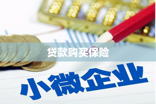 望奎贷款购买保险