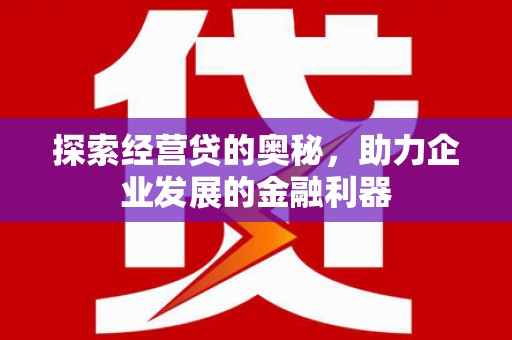 望奎探索经营贷的奥秘，助力企业发展的金融利器