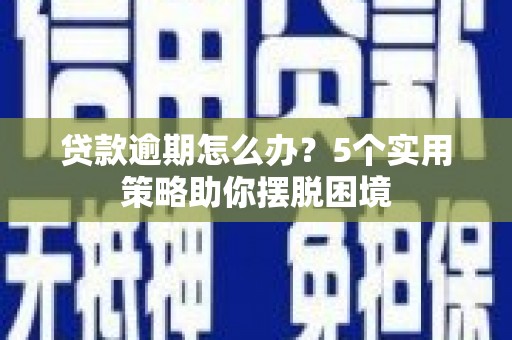 望奎贷款逾期怎么办？5个实用策略助你摆脱困境