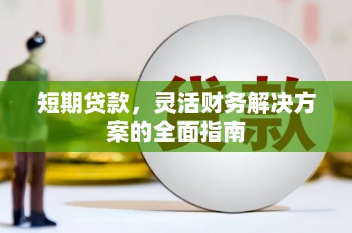 望奎短期贷款，灵活财务解决方案的全面指南