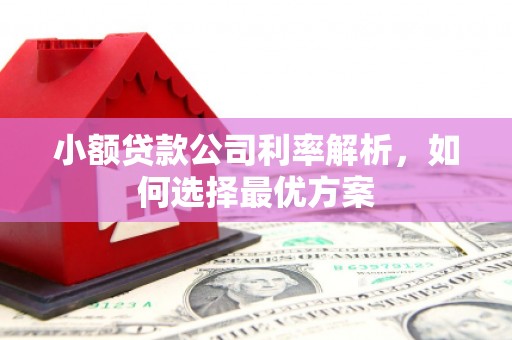 望奎小额贷款公司利率解析，如何选择最优方案