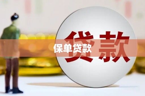 望奎保单贷款