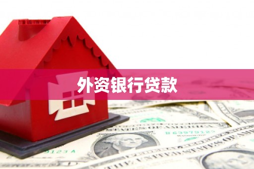 望奎外资银行贷款