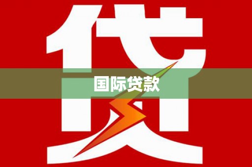 望奎国际贷款