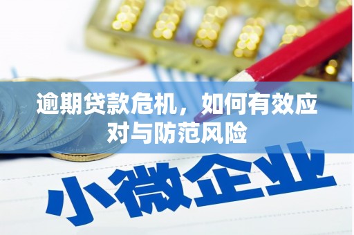望奎逾期贷款危机，如何有效应对与防范风险