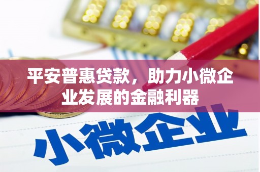 望奎平安普惠贷款，助力小微企业发展的金融利器