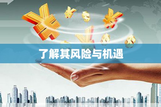 望奎了解其风险与机遇