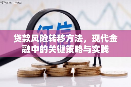 望奎贷款风险转移方法，现代金融中的关键策略与实践