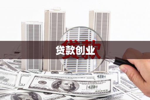 望奎贷款创业