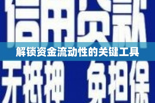 望奎解锁资金流动性的关键工具