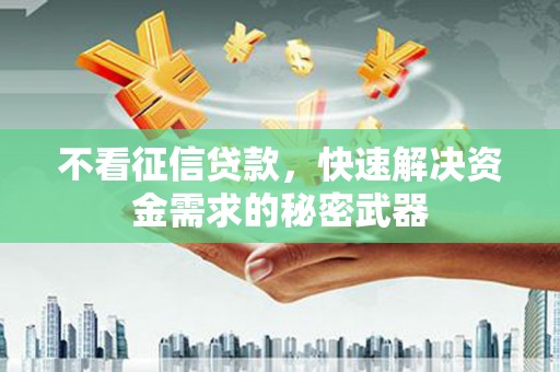 望奎不看征信贷款，快速解决资金需求的秘密武器