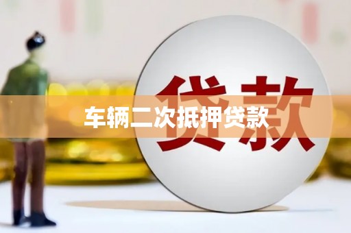 望奎车辆二次抵押贷款
