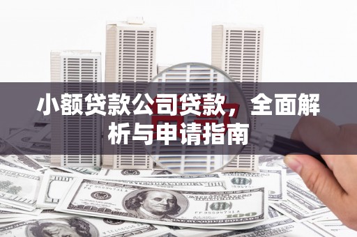 望奎小额贷款公司贷款，全面解析与申请指南