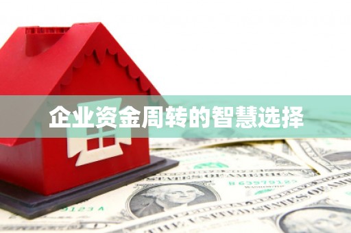 望奎企业资金周转的智慧选择