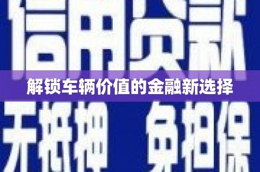 望奎解锁车辆价值的金融新选择