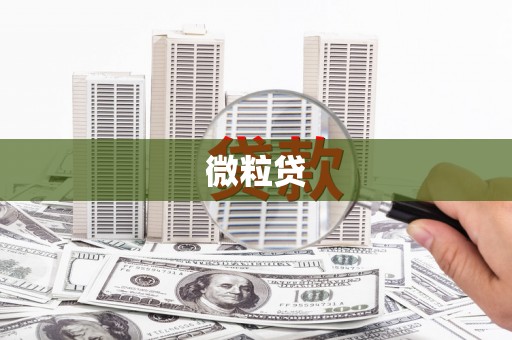 望奎微粒贷