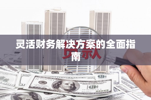 望奎灵活财务解决方案的全面指南