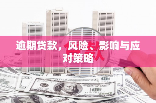 望奎逾期贷款，风险、影响与应对策略