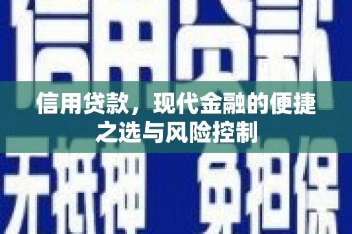 望奎信用贷款，现代金融的便捷之选与风险控制