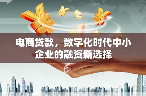 望奎电商贷款，数字化时代中小企业的融资新选择