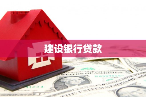 望奎建设银行贷款