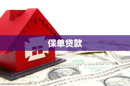 望奎保单贷款