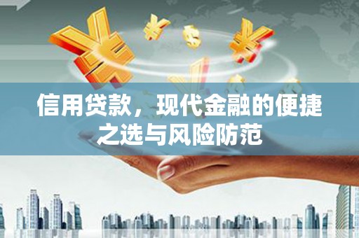 望奎信用贷款，现代金融的便捷之选与风险防范