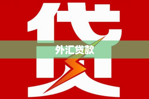 望奎外汇贷款