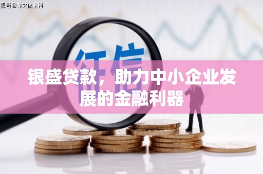 望奎银盛贷款，助力中小企业发展的金融利器