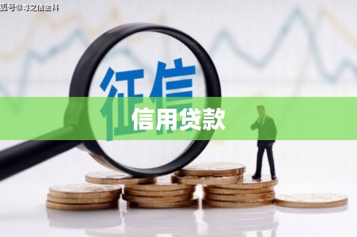 望奎信用贷款