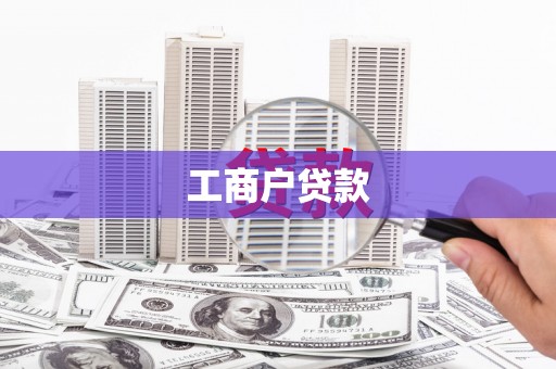 望奎工商户贷款