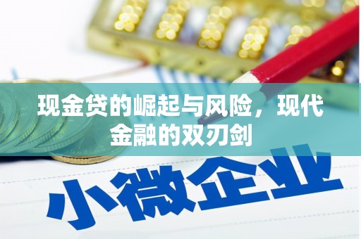 望奎现金贷的崛起与风险，现代金融的双刃剑