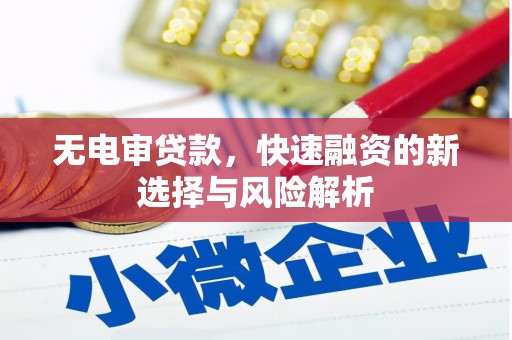 望奎无电审贷款，快速融资的新选择与风险解析