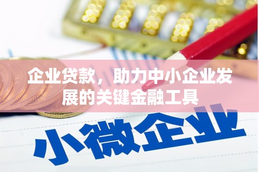 望奎企业贷款，助力中小企业发展的关键金融工具