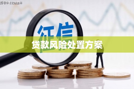 望奎贷款风险处置方案
