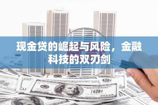 望奎现金贷的崛起与风险，金融科技的双刃剑