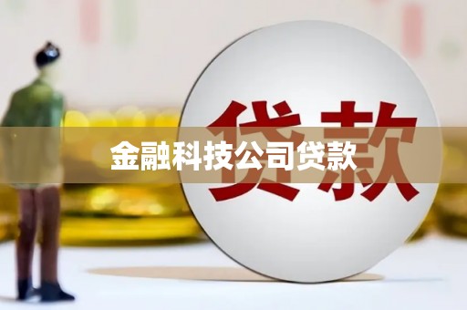 望奎金融科技公司贷款